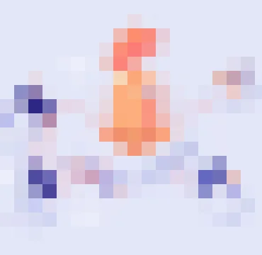 旺财28